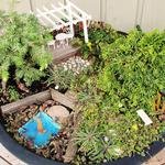 Creating a Beautiful Patio Garden Tips | How To Build A House