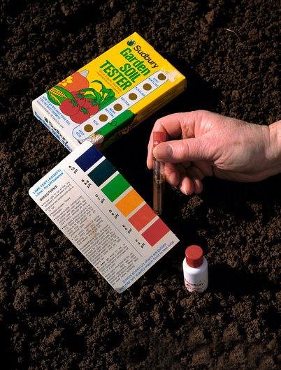 A Beginner's Gardener Guide - The Soil pH | How To Build A House