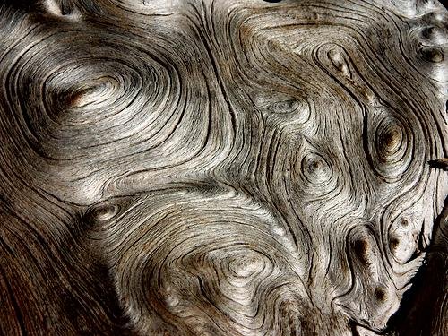 Cost To Build A House >> The Material of the Future - Arboform (Liquid Wood) | How To Build A House Cost To Build A House >> The Material of the Future - Arboform (Liquid Wood) | How To Build A House