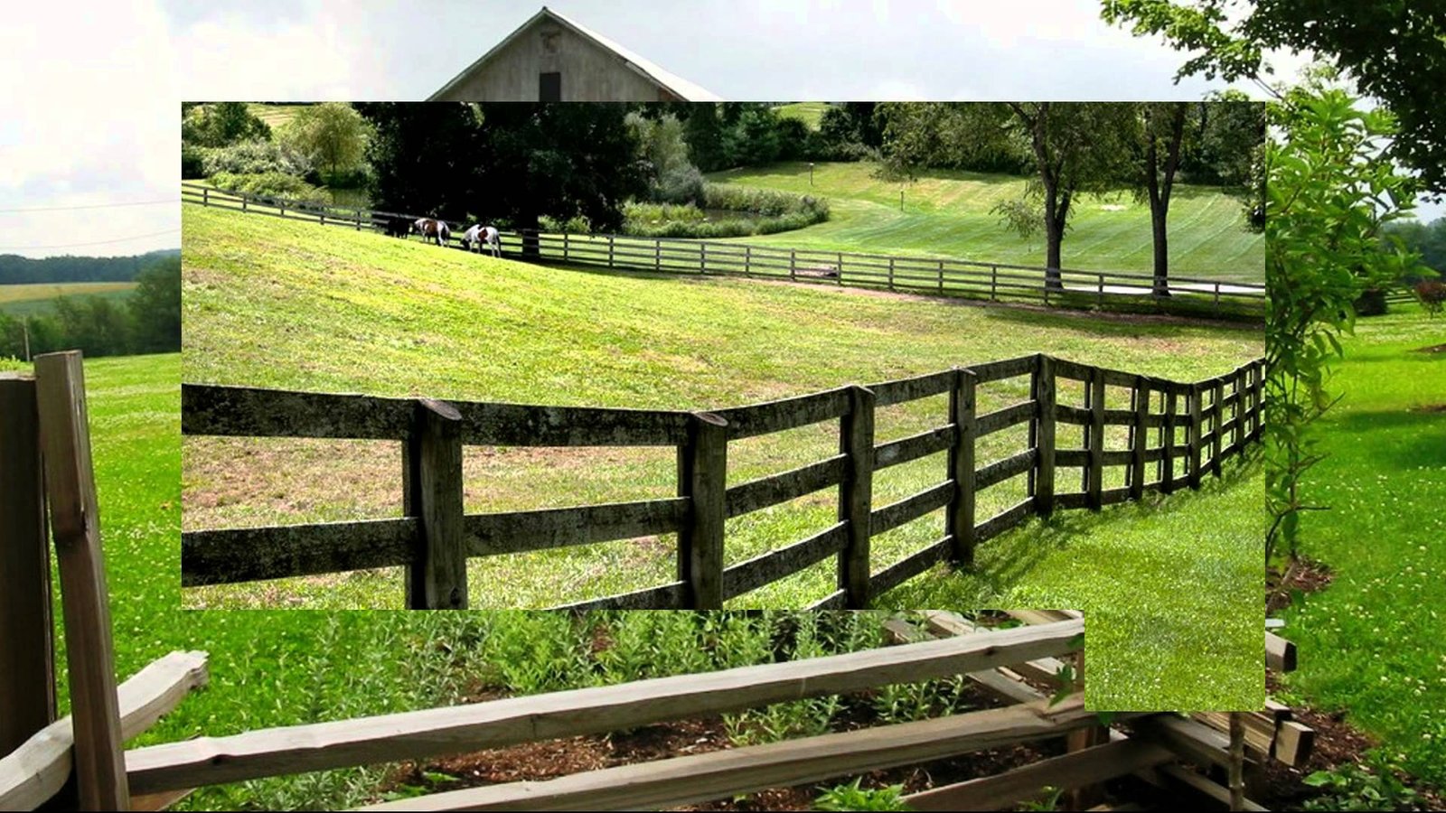 How to Protect and Preserve Your Property Wooden Fence